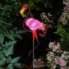 Smart Solar Flamingo Solar Stake - Alton Garden Centre -Konstsmidy Shop 1579781 1012630 2 3 560