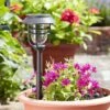 Smart Solar Avant 5L Stake Light, 5pc Carry Pack - Alton Garden Centre -Konstsmidy Shop 3444572 1001035 2 3 560