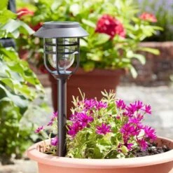 Smart Solar Avant 5L Stake Light, 5pc Carry Pack - Alton Garden Centre