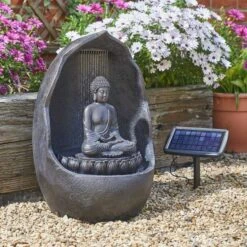 Buddha - Hybrid Power - Alton Garden Centre