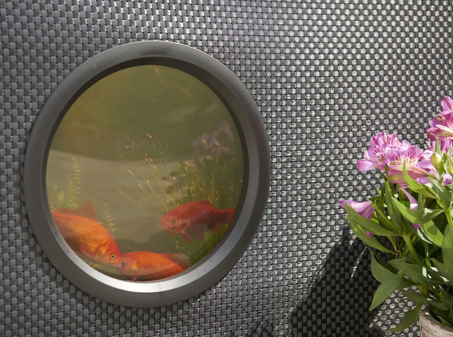 Hozelock: Aquarium 'Twist & Lock System' - Alton Garden Centre 7 Hozelock: Aquarium 'Twist & Lock System' - Alton Garden Centre - Image 5