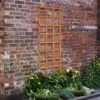 Forest - Heavy Duty Trellis 183 X 61cm - Alton Garden Centre 1 Forest - Heavy Duty Trellis 183 X 61cm - Alton Garden Centre -Konstsmidy Shop FT62 1 1 1 1