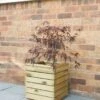 Forest - Linear Planter Square - Alton Garden Centre -Konstsmidy Shop LINPL40 1 1 684x1024 1