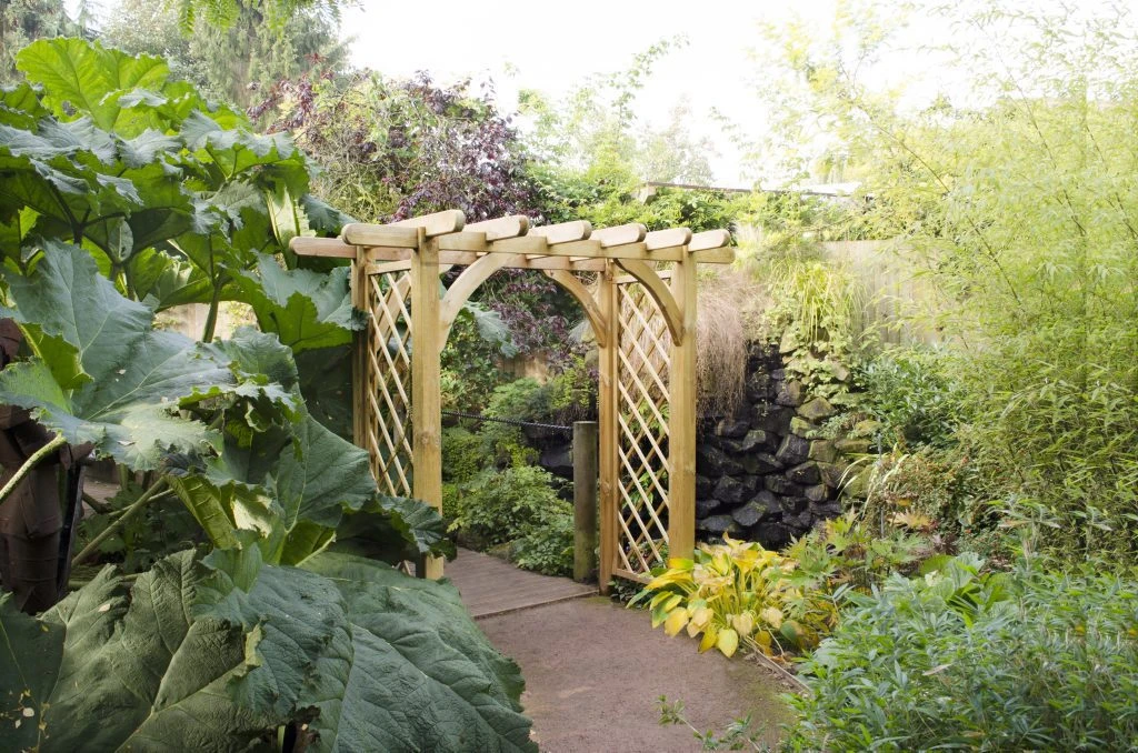 Forest - Large Ultima Pergola Arch - Alton Garden Centre 3 Forest - Large Ultima Pergola Arch - Alton Garden Centre