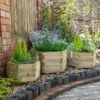 Forest - York Hexagonal Planter Set Of 3 Small - Alton Garden Centre 2 Forest - York Hexagonal Planter Set Of 3 Small - Alton Garden Centre -Konstsmidy Shop MFD84 4 1 1024x683 1