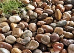 Kelkay Large Beach Cobbles - Alton Garden Centre -Konstsmidy Shop PROD 1027 Large Beach Cobbles Wet LS