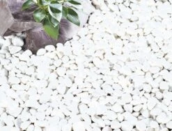 Kelkay Coral White Pebbles - Alton Garden Centre -Konstsmidy Shop PROD 1081 Coral White Pebbles Dry LS
