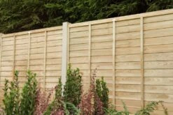 Forest - Pressure Treated Superlap Fence Panel 6ft X 5ft (1.83m X 1.52m) - Alton Garden Centre