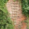 Forest - Traditional Fan Trellis 180 X 60cm - Alton Garden Centre 1 Forest - Traditional Fan Trellis 180 X 60cm - Alton Garden Centre -Konstsmidy Shop TRADF62V3 1 1