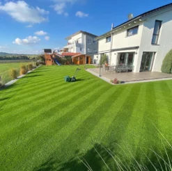 Allett Liberty 43 17" Battery Cylinder Lawnmower - Alton Garden Centre 21 Allett Liberty 43 17" Battery Cylinder Lawnmower - Alton Garden Centre -Konstsmidy Shop image cb239777 fd86 4033 a7c8 87eb0fda64ac 1024x1024@2x