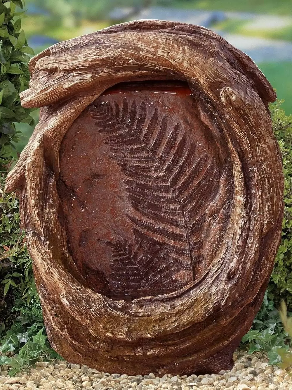 Forest Fern - Alton Garden Centre 3 Forest Fern - Alton Garden Centre