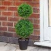 Smart Garden Artificial Duo Topiary Tree - Alton Garden Centre