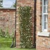 Smart Solar Maple Leaf 180 X 90cm Expanding Trellis - Alton Garden Centre -Konstsmidy Shop products 939591 5045081 2 3 600 1