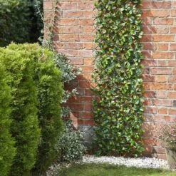 Smart Solar Lemon Leaf 180 X 90cm Expanding Trellis - Alton Garden Centre