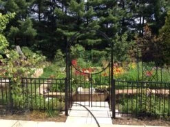 Panacea Arch Top Garden Arches With Gate - Brushed Bronze - Alton Garden Centre 7 Panacea Arch Top Garden Arches With Gate - Brushed Bronze - Alton Garden Centre -Konstsmidy Shop products arch top garden arch w gate 3