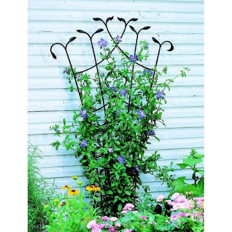 Panacea Forged Fan Trellis With Leaves - Black - Alton Garden Centre 3 Panacea Forged Fan Trellis With Leaves - Black - Alton Garden Centre