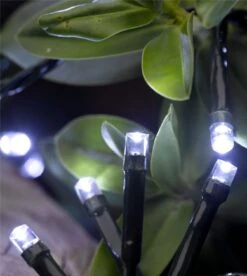 Battery Operated 100 Cool White String Lights - Alton Garden Centre