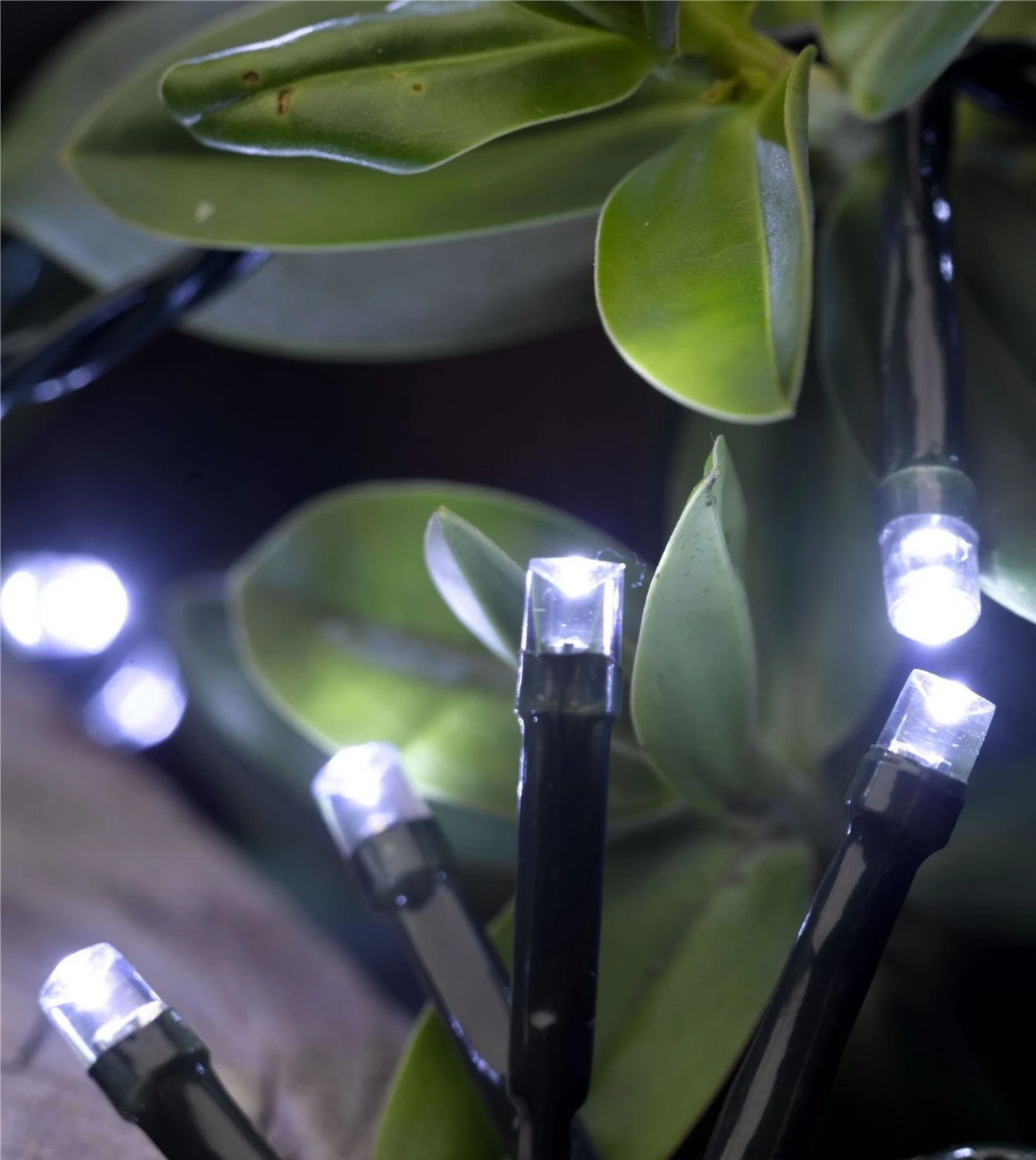 Battery Operated 100 Cool White String Lights - Alton Garden Centre 3 Battery Operated 100 Cool White String Lights - Alton Garden Centre