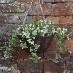 Smart Garden 30cm Easy Basket (Pink) - Alton Garden Centre