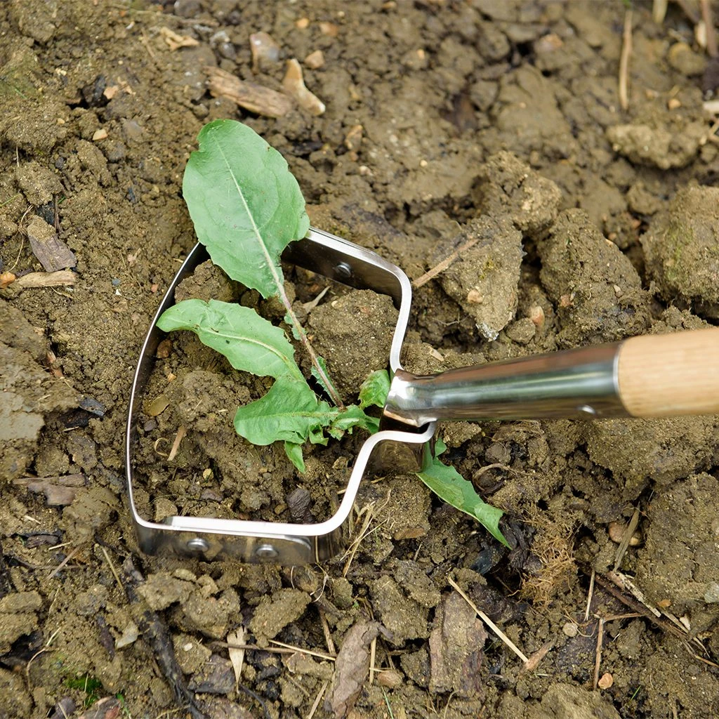 Oscillating Hoe - Alton Garden Centre 4 Oscillating Hoe - Alton Garden Centre - Image 2
